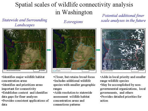 Washington Wildlife Habitat Connectivity Working Group » Columbia