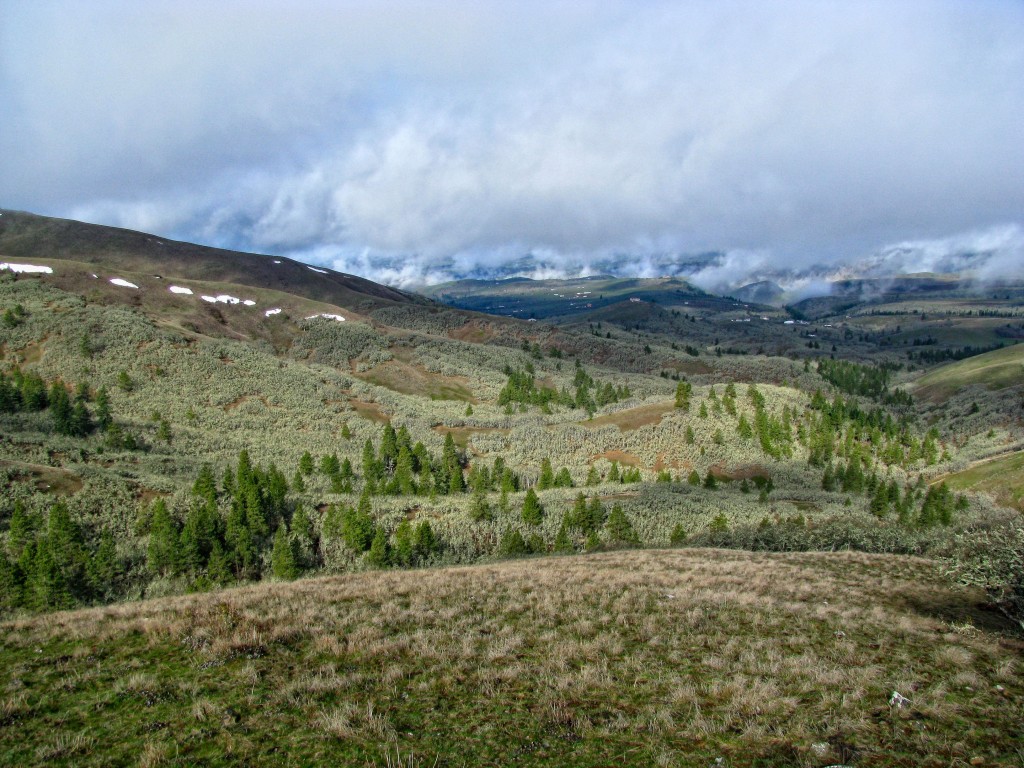 Washington Wildlife Habitat Connectivity Working Group » Climate ...