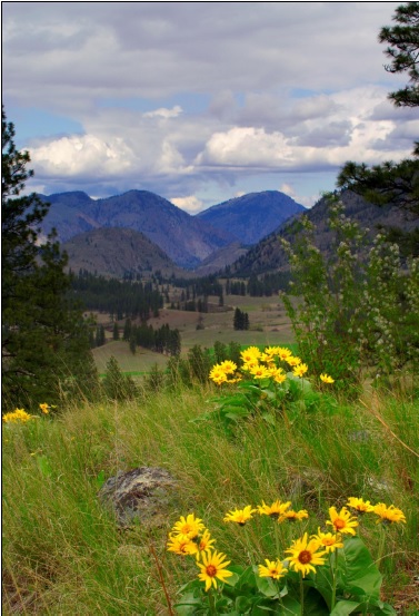 Washington Wildlife Habitat Connectivity Working Group » Okanagan ...